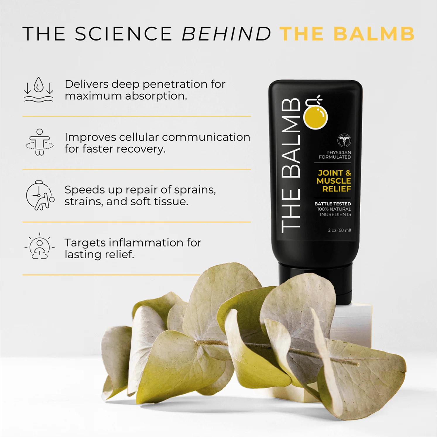 The Balmb - Image 5