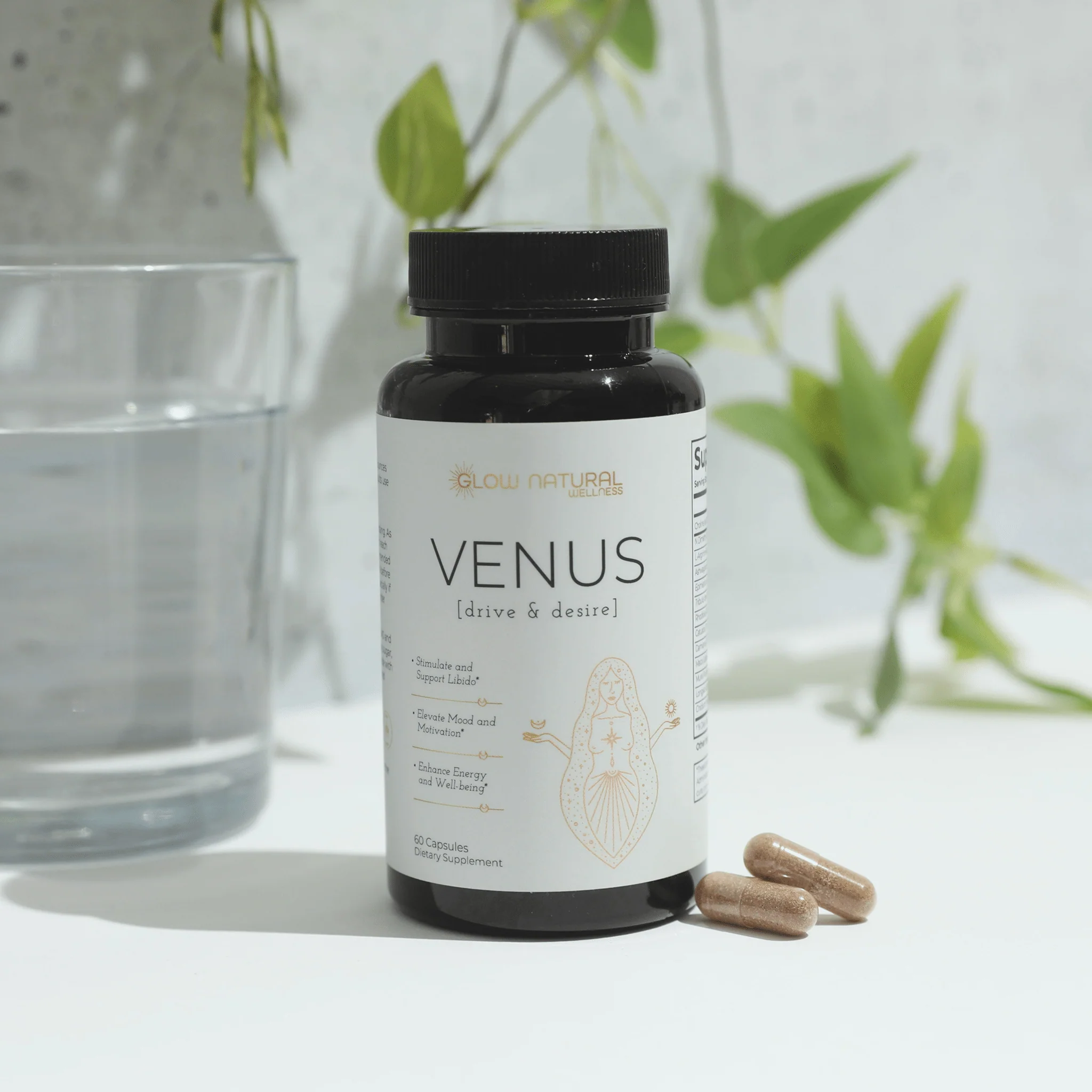 VENUS - Image 4